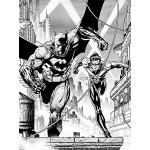 DC Comics (Batman & Nightwing 60 x 80 cm Toile Imprimée