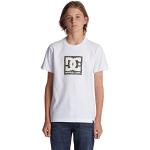 T-shirts DC Shoes Star blancs en jersey à motif éléphants Taille 12 ans look fashion pour garçon de la boutique en ligne Amazon.fr 
