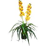Orchidées artificielles jaunes 