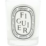 Bougies Diptyque blanches 