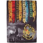 Housses de couette grises en polyester Harry Potter Harry pour enfant 