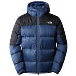 Doudounes The North Face bleues en duvet éco-responsable à capuche Taille S pour homme en promo 