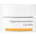 Produits pour les lèvres Dr. Hauschka bio à huile de millepertuis pour les lèvres pour lèvres sensibles soin intensif texture baume 