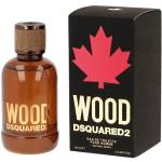 Eaux de toilette Dsquared2 Wood aromatiques 100 ml pour homme 