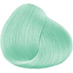 Colorations vert pastel pour cheveux professionnelles 100 ml 