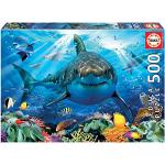 Puzzles Educa à motif requins 500 pièces de 9 à 12 ans 
