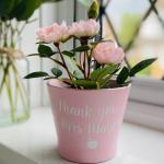Pots de fleur rose pastel de 10 cm diamètre 10 cm 