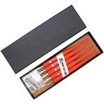 Hillento Ensemble de stylos de calligraphie, 5 porte-stylos en plastique pour stylos plume gothiques avec 10 plumes, parfaits pour la BD/calligraphie, rouge
