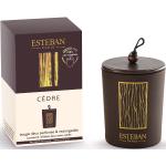 esteban - Cèdre Bougie décorative parfumée rechargeable 170 g