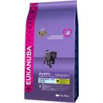 Eukanuba Puppy Large Breed Pour Chien 15kg