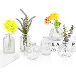 EylKoi Lot de 6 vases à fleurs en verre transparen