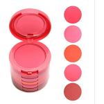 FantasyDay® 5 Couleurs Palette de Maquillage Blush