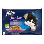 Felix Junior Fantastic 4 x 85 g pour chaton - saumon, poulet