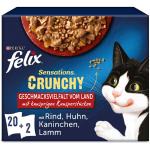 20x85g Felix Sensations Crunchy Crumbles + 2x40g de pépites sélection à la viande