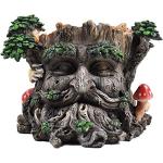 Fiesta Studios Pot de fleurs en forme de visage sculpté dans un tronc d’arbre - Pot de fleurs décoratif de jardin - Sculpture inspirée des Tréants - Hauteur 15 cm