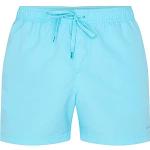 Shorts de bain Firefly turquoise en polyamide Taille XL look fashion pour homme 