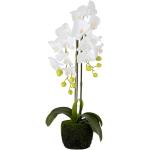 Orchidées artificielles Paris Prix blanches en plastique en promo 