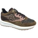Floris van Bommel - Shoes > Sneakers - Brown -