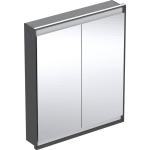 Armoires 2 portes grises en aluminium 