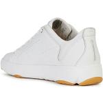 Geox Homme U Nebula Y A Sneakers, White, 44 EU