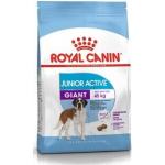 Giant junior - Croquettes Royal Canin Giant junior | Conditionnement : 15 kg