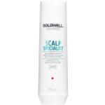 Shampoings Goldwell 250 ml anti pellicules anti pelliculaire 