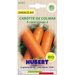 Graines de carotte bio 