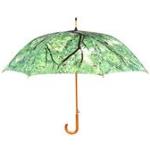 Parapluies automatiques marron pour femme 