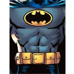 Grande Carte Anniversaire Batman - Draeger Paris Gris