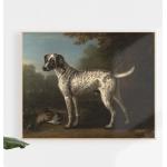 Grey Spotted Hound Print - Vintage Wall Art