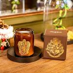 Bougies parfumées marron Harry Potter Gryffondor de 40 cm made in France 