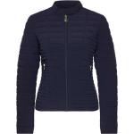 Guess - Jackets > Down Jackets - Blue -