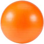 Ballons de gym Sveltus 