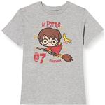 T-shirts à manches courtes Cotton Division gris Harry Potter Harry lavable en machine Taille 6 ans look fashion pour garçon en promo de la boutique en ligne Amazon.fr avec livraison gratuite 
