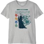 Harry Potter Bohapomts137 T-Shirt, Gris Melange, 1
