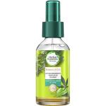 Après-shampoings Herbal Essences bio en lot de 1 au chanvre 100 ml pour cheveux secs 