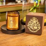 Bougies parfumées marron à fleurs en cuir Harry Potter Hermione Granger de 40 cm made in France 