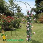 Hi Arche de Jardin pour Plantes Grimpantes et Rosi