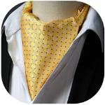 Cravates de mariage jaunes à pois Tailles uniques rétro pour homme 