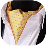 Cravates de mariage jaunes à pois Tailles uniques rétro pour homme 