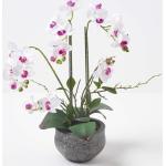 Homescapes - Orchidée artificielle blanche en pot en ciment gris 52 cm - Blanc