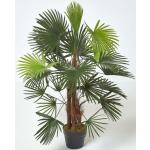 Homescapes - Palmier bambou vert Lady Palm en pot, 90 cm - Plante verte et pot noir