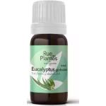 Huile essentielle Eucalyptus globulus bio 10ml
