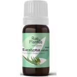 Huile essentielle Eucalyptus radiata bio 10ml