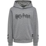 Sweatshirts Hummel gris Harry Potter Harry Taille 10 ans pour fille de la boutique en ligne Miinto.fr 