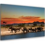 Tableaux photo bleus à motif éléphants 