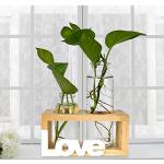Station de propagation en verre avec cadre en métal, lot de 2 vases à  fleurs en or, vase en tube à essai pour plante hydroponique, petit vase à  bourgeons pour décor de