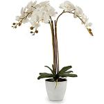 Orchidées artificielles blanches en plastique 