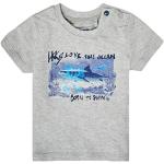 T-shirts à manches courtes Ikks IKKS Junior gris en coton à motif requins Taille 3 mois look fashion pour garçon de la boutique en ligne Amazon.fr avec livraison gratuite 