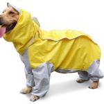 Manteaux dorés à motif chiens pour chien 